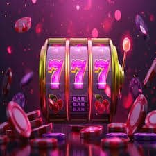 win55 com