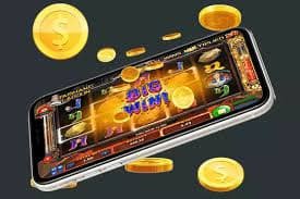 win55 com